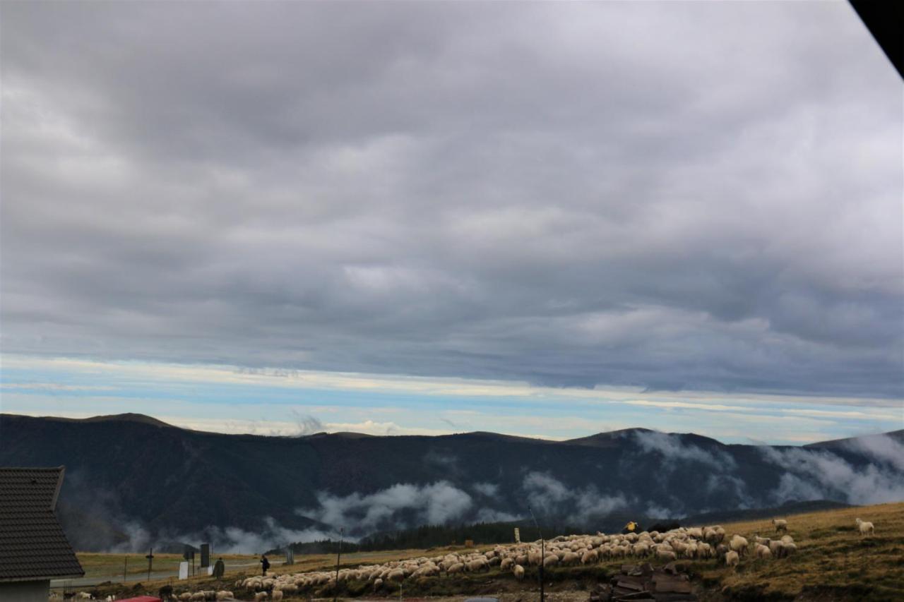 Hotel Cabana Transalpina Rânca Exteriér fotografie