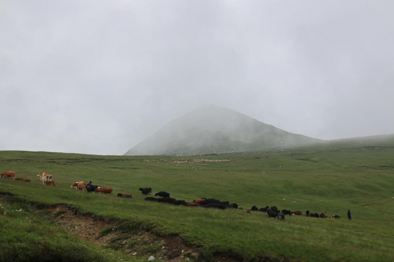 Hotel Cabana Transalpina Rânca Exteriér fotografie