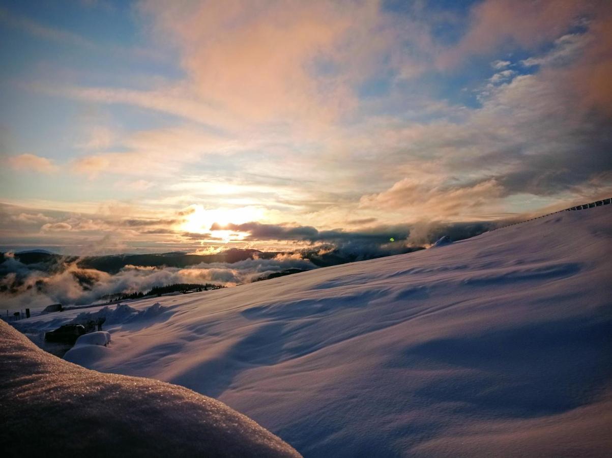 Hotel Cabana Transalpina Rânca Exteriér fotografie