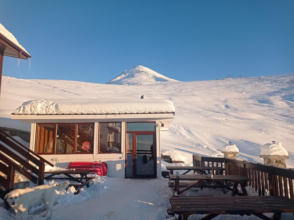Cabana Transalpina Rânca Exteriér fotografie
