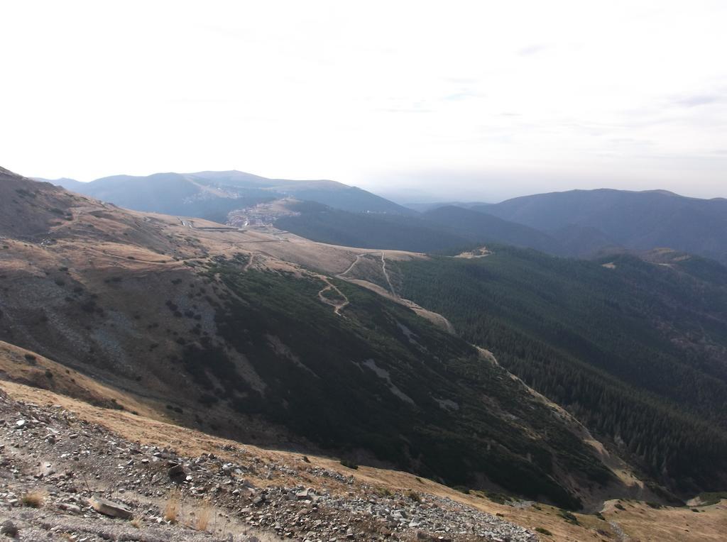 Hotel Cabana Transalpina Rânca Exteriér fotografie